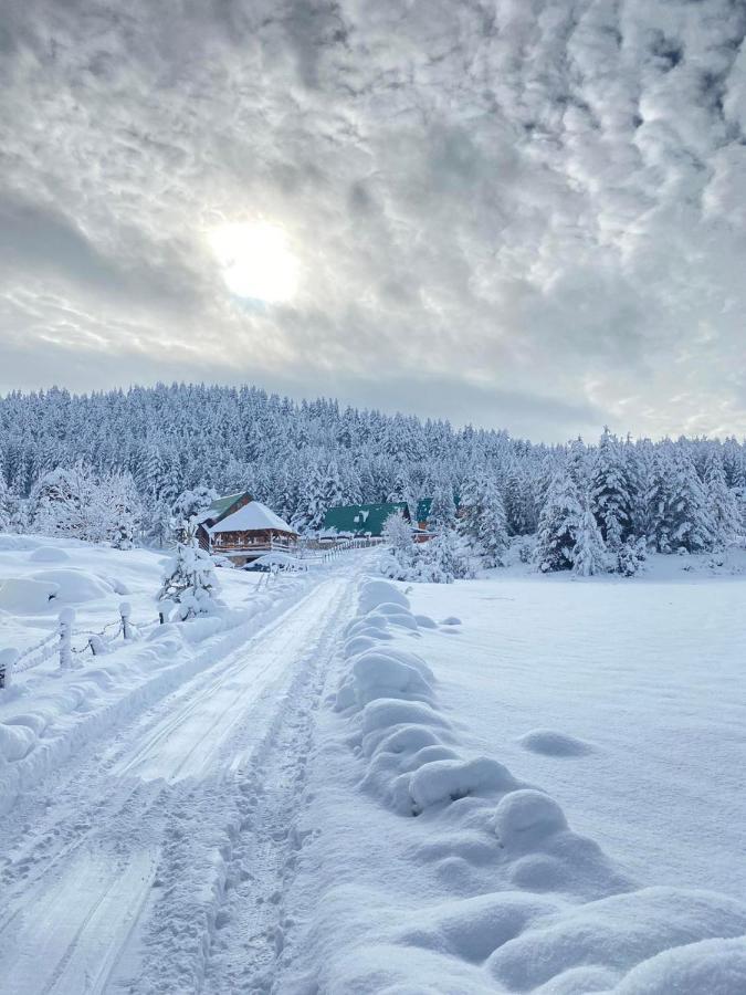 Vikendice Itana Villa Žabljak Екстериор снимка