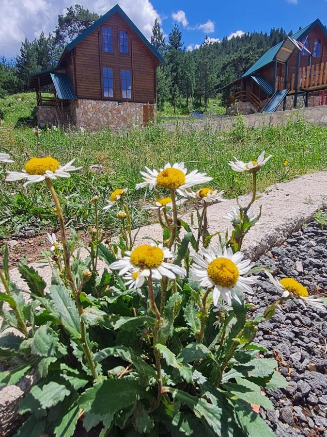 Vikendice Itana Villa Žabljak Екстериор снимка